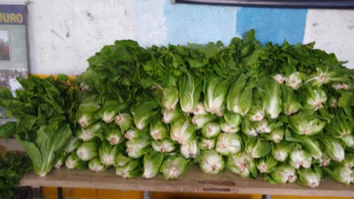 FB_IMG_1616518273972