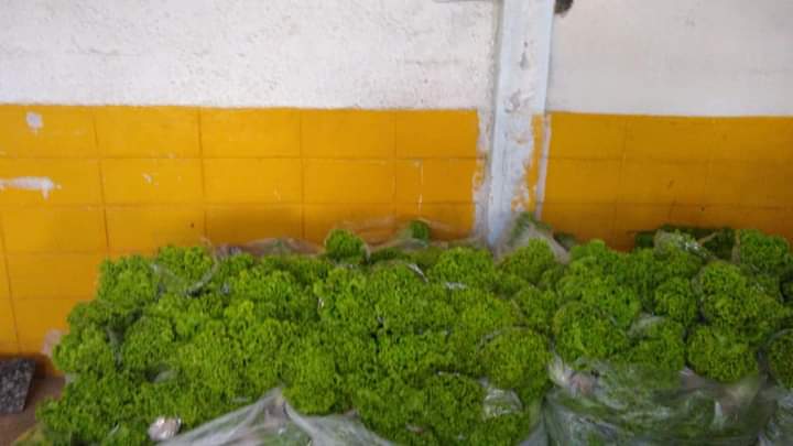 FB_IMG_1616518276640