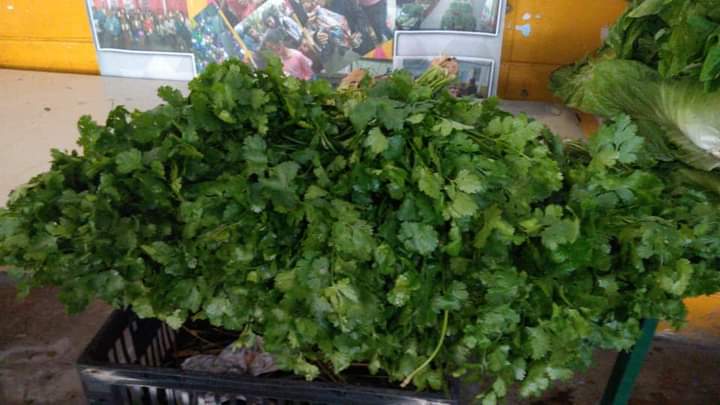 FB_IMG_1616518283490