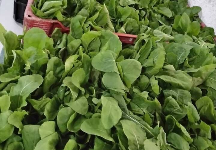 FB_IMG_1616518323088