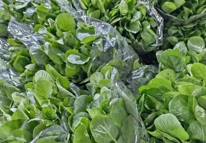 FB_IMG_1616518327065